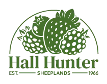 HallHunter logo