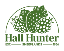 HallHunter logo